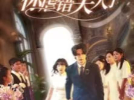 陸總住手吧，你虐錯(cuò)夫人了(全集)