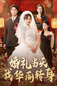 婚禮當天我華麗轉(zhuǎn)身(全集)