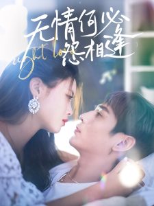 無(wú)情何必怨相逢(全集)