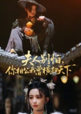 夫人別怕，你相公我曾橫掃天下(全集)