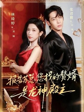 報(bào)告蘇總，您找的贊婿是龍神殿主(全集)