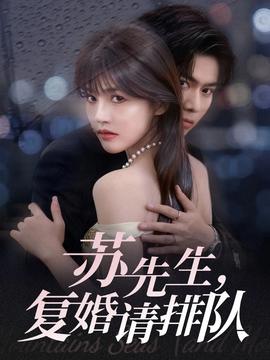 蘇先生，復婚請排隊(全集)