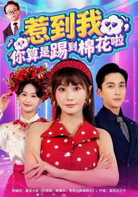 惹到我，你算是踢到棉花啦(全集)