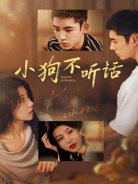 小狗不聽(tīng)話(huà)(全集)