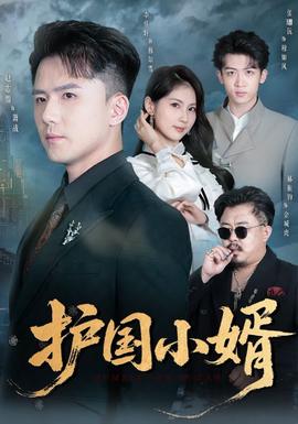 護(hù)國(guó)小婿(全集)